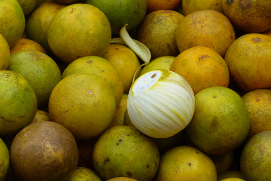 Delicious Mango Electrolyte Mixes for Optimal Hydration